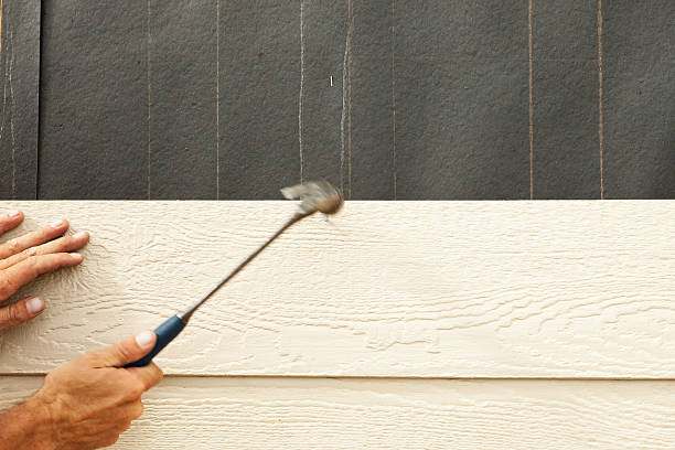 Best Vinyl Siding Installation  in Gladeville, TN